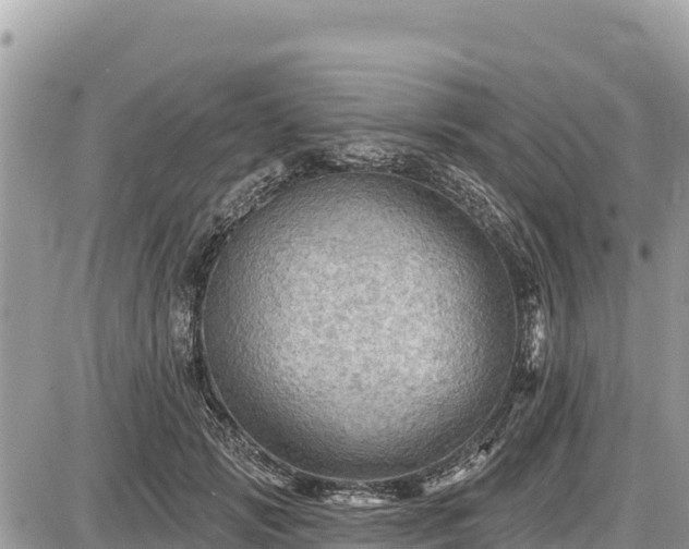 X0000087550749200705041327