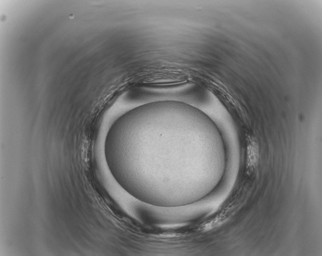 X0000087550750200705041327