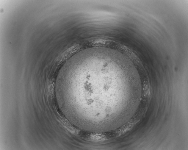 X0000087550753200705041327