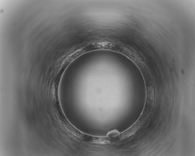 X0000087550754200705041327