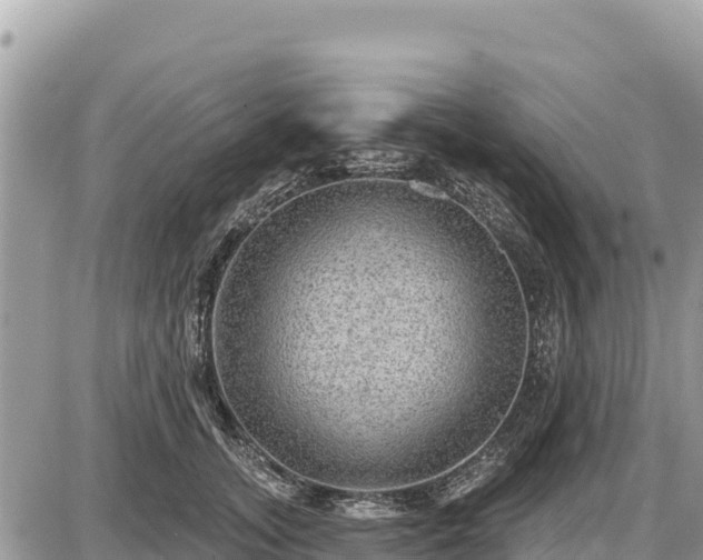 X0000087550755200705041327