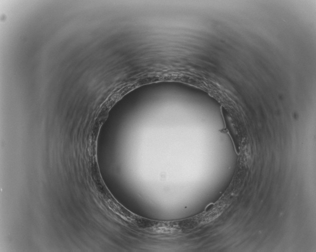 X0000087550756200705041327