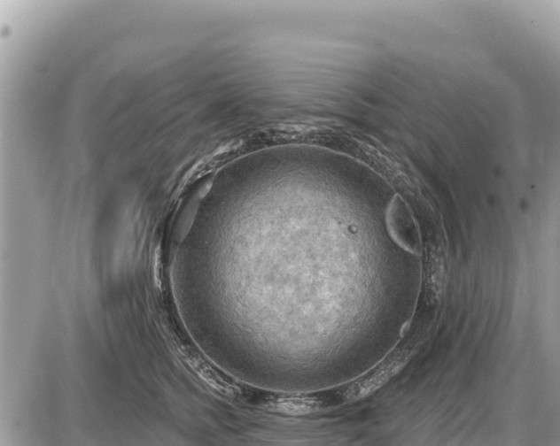 X0000087550758200705041328