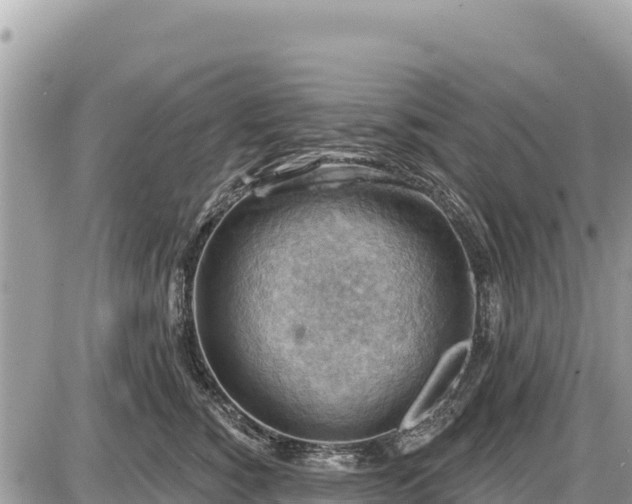 X0000087550760200705041328