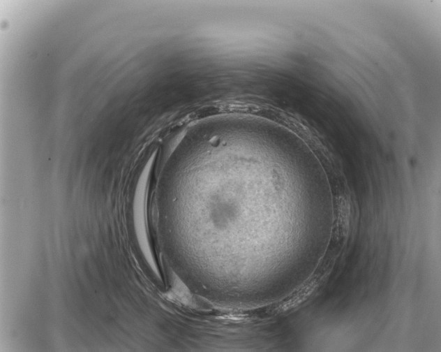 X0000087550761200705041328