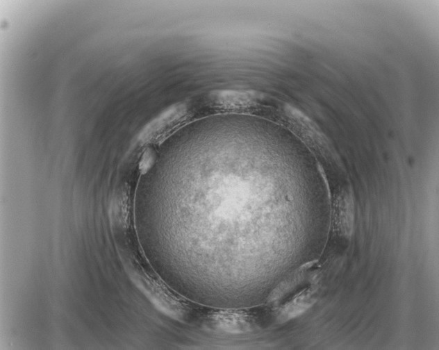 X0000087550762200705041328