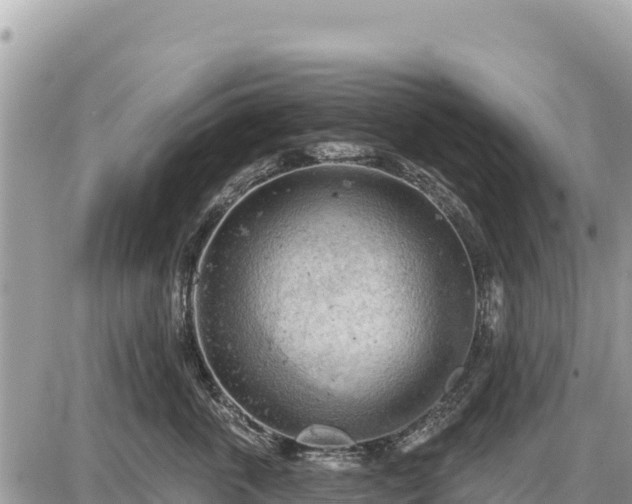 X0000087550763200705041328