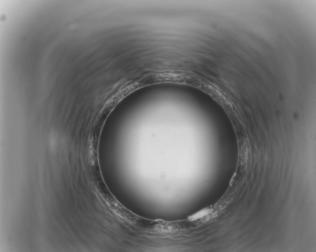 X0000087550764200705041328