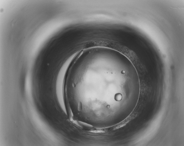 X0000087550765200705041328