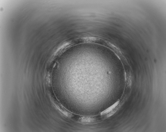 X0000087550766200705041328