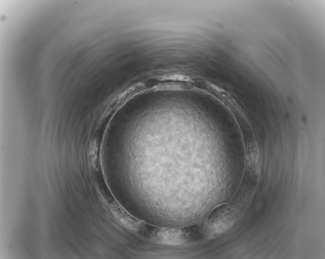 X0000087550767200705041328