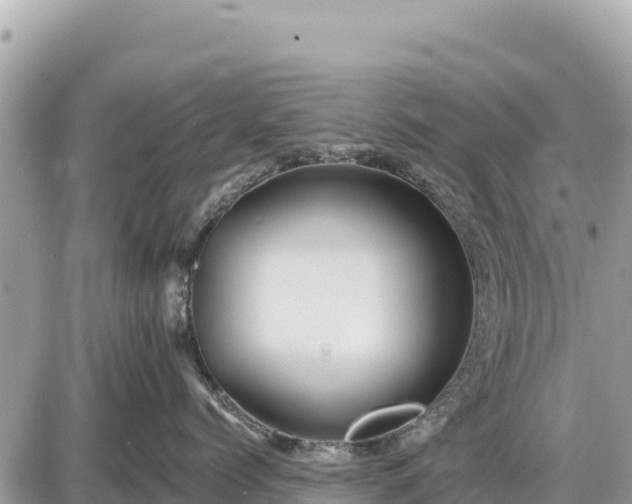 X0000087550768200705041328