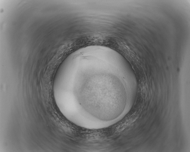 X0000087550769200705041327