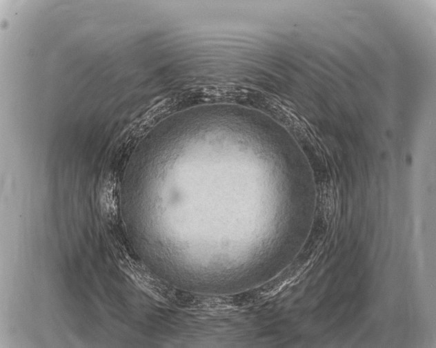 X0000087550770200705041327