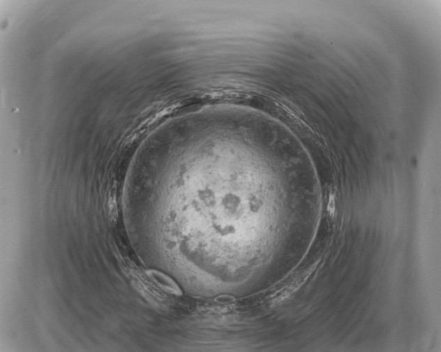 X0000087550771200705041327