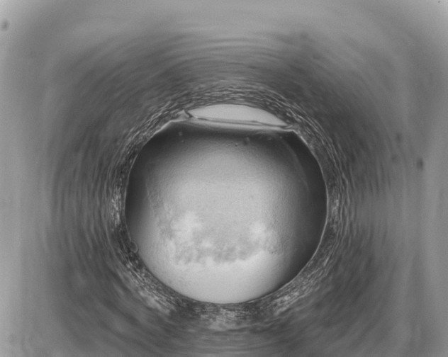 X0000087550772200705041327