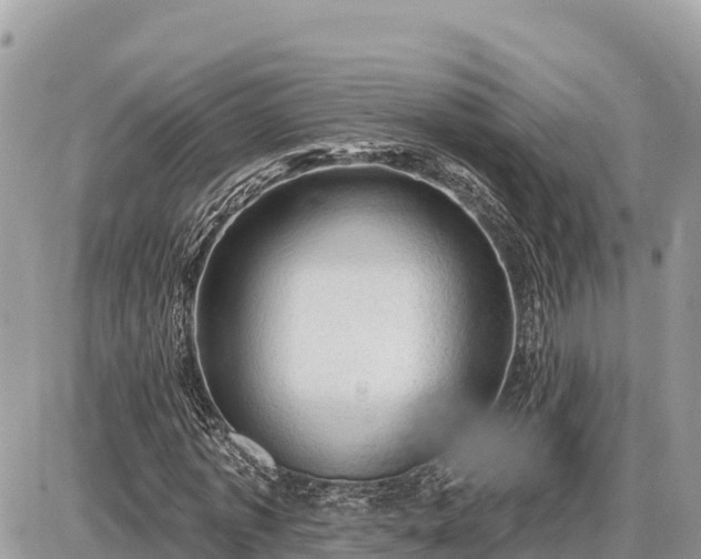 X0000087550773200705041327