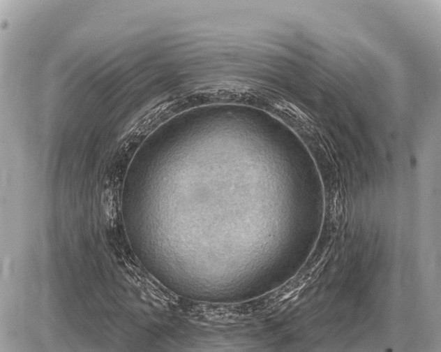 X0000087550774200705041327