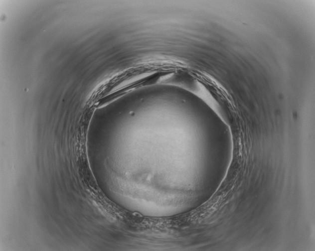 X0000087550775200705041327