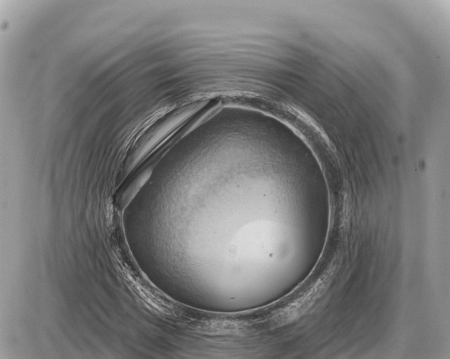 X0000087550777200705041327