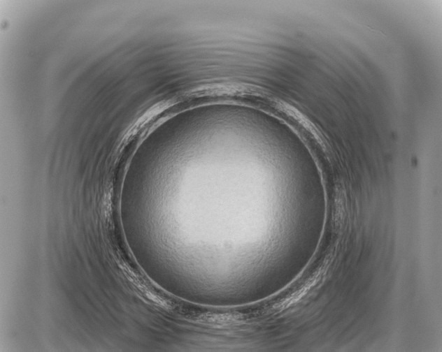 X0000087550778200705041327