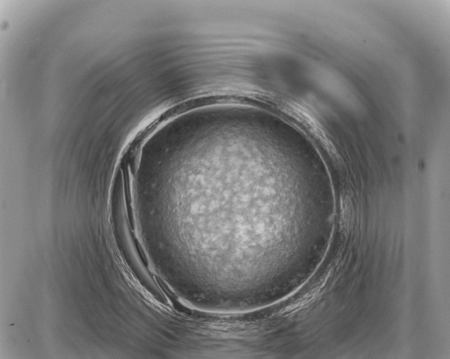 X0000087550780200705041327