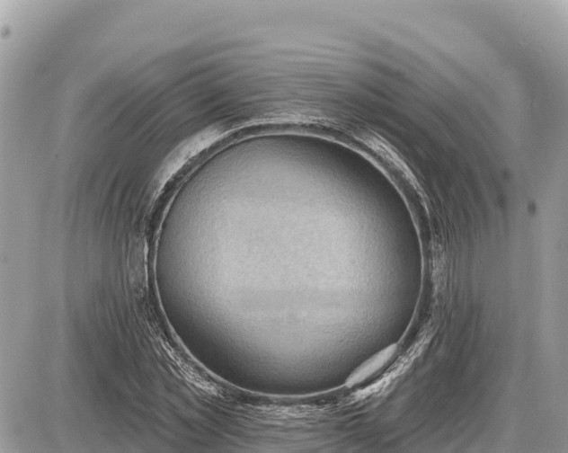 X0000087550781200705041327