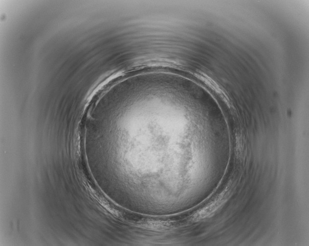 X0000087550782200705041327