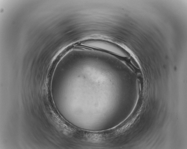 X0000087550783200705041327