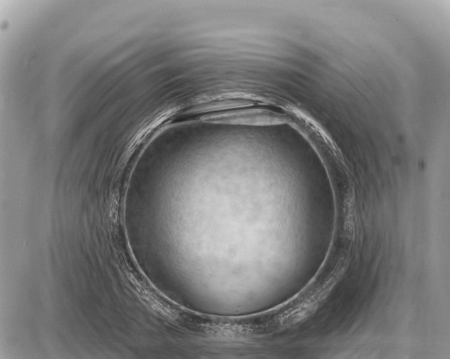 X0000087550785200705041327