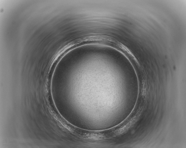 X0000087550786200705041327