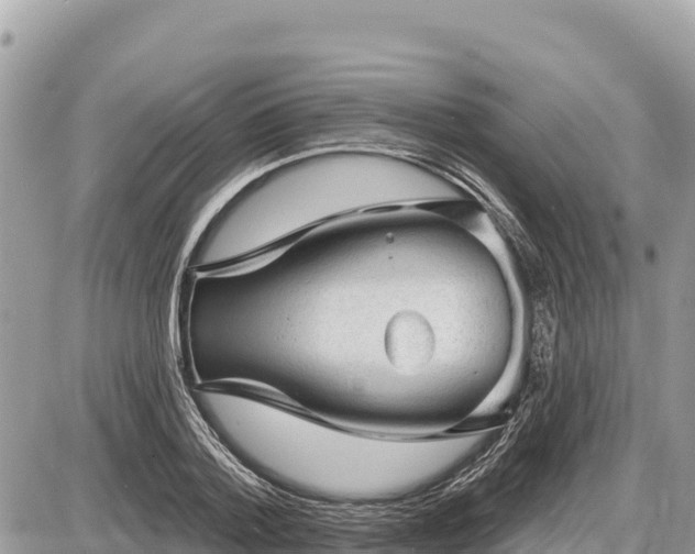 X0000087550788200705041327