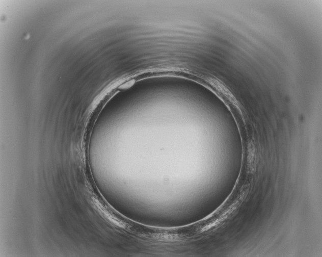 X0000087550789200705041327