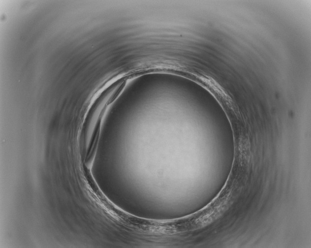 X0000087550790200705041327