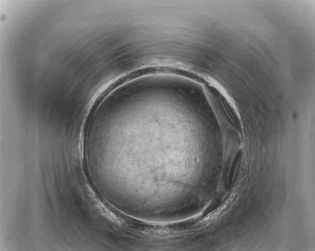 X0000087550791200705041327