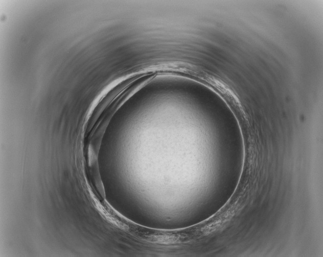 X0000087550792200705041327