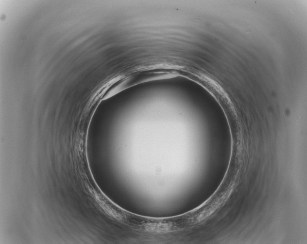 X0000087550793200705041327