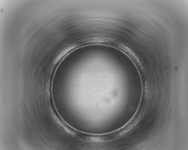 X0000087550794200705041326