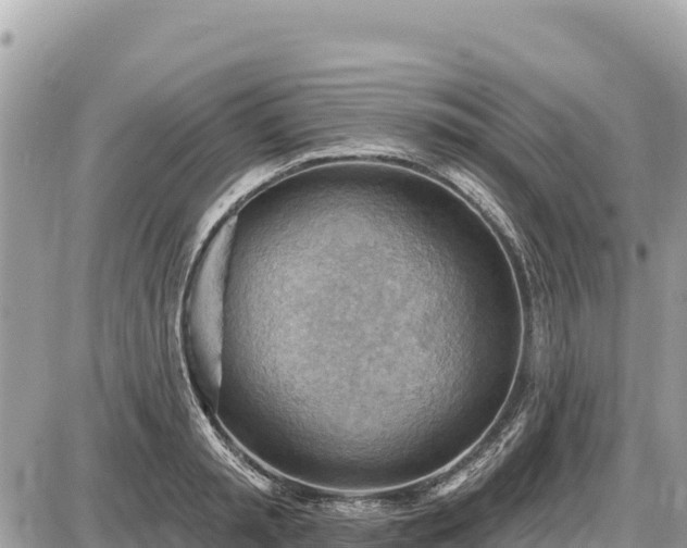 X0000087550797200705041326