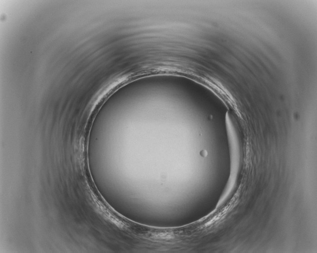 X0000087550798200705041326