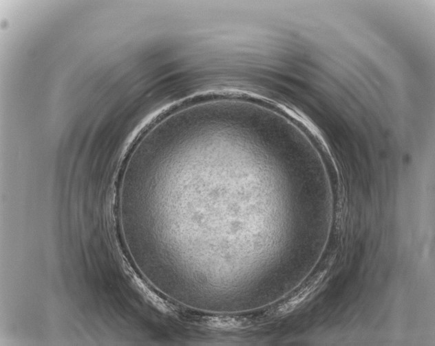 X0000087550799200705041326