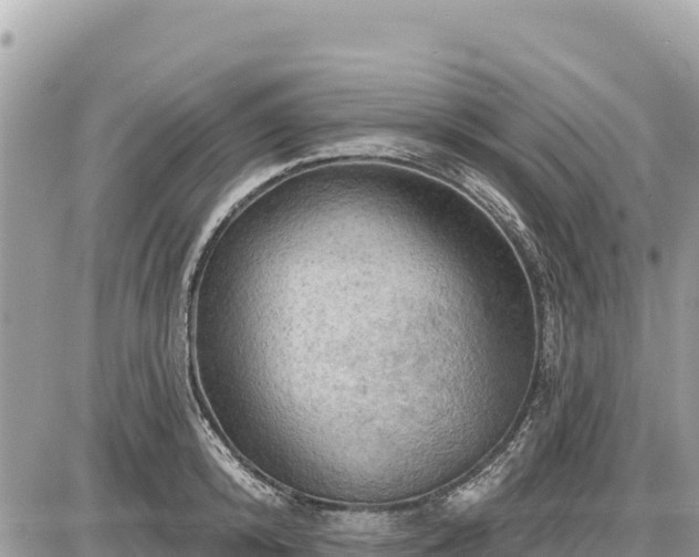 X0000087550800200705041326