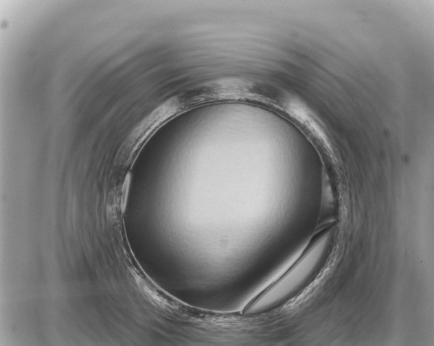 X0000087550801200705041326