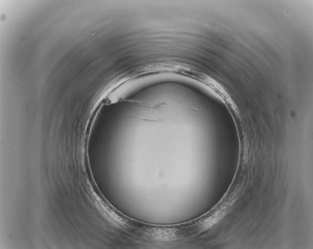 X0000087550802200705041326