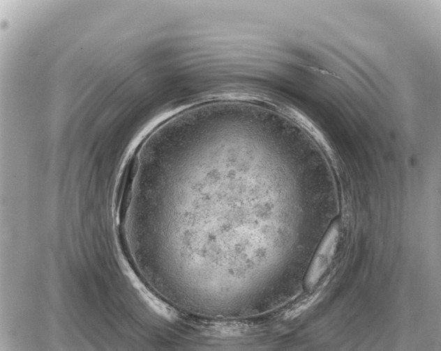 X0000087550803200705041326