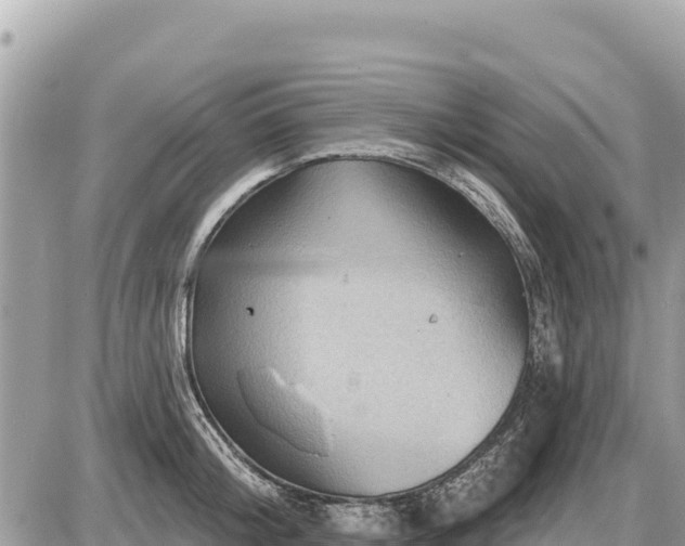 X0000087550804200705041326