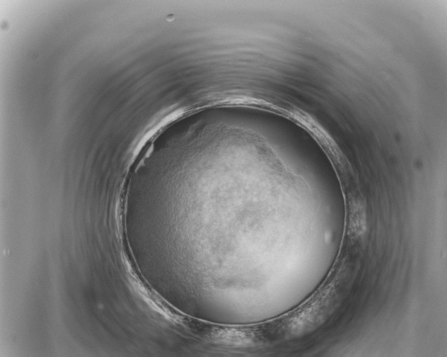 X0000087550806200705041326