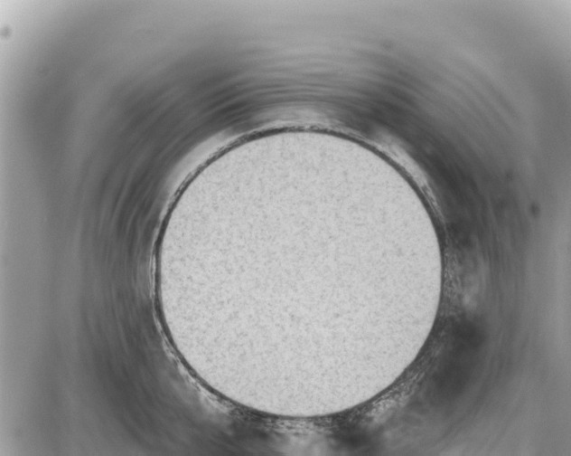 X0000087550807200705041326