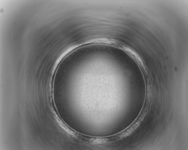 X0000087550808200705041326