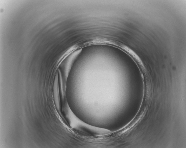 X0000087550809200705041326